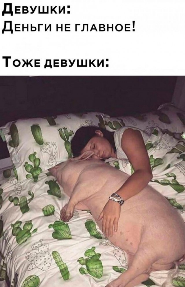 Баяны разной степени давности.