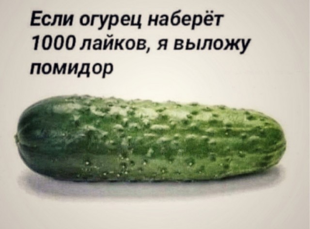 Так себе картинки 16.02.24