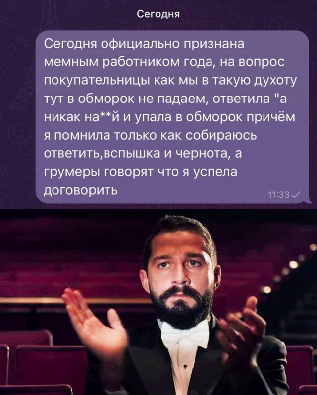 Весёлый полтишок 22.07 24