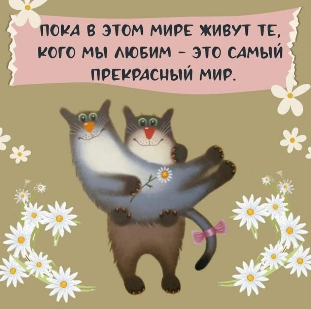 Прикольные и просто красивые картинки 19.09.2025
