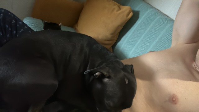 Петербуржец сделал замечание девушке за то, что не убирает дерьм@ за своей собакой