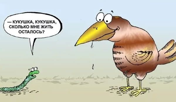 Картинки для деградации 94 (разной степени свежести)