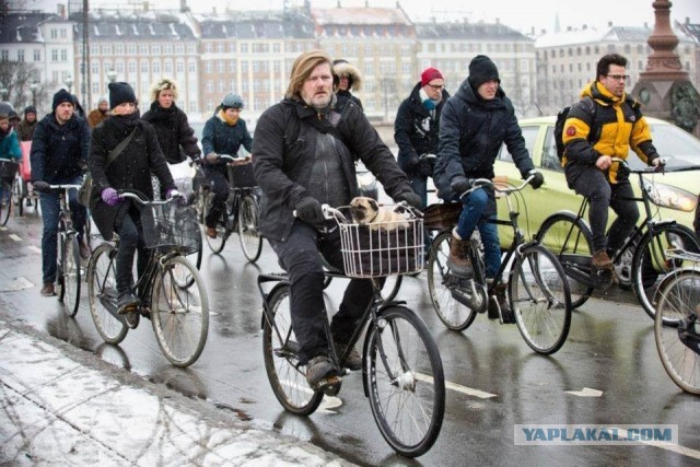 Пора на велосипеды пересаживаться