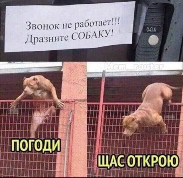 Веселые картинки в четверг (кагбы пятницо) (11.06)