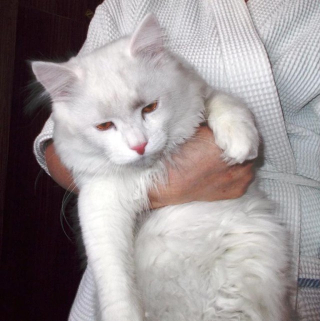 Уделите нам внимание