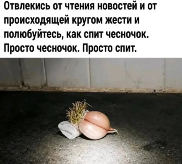 Так себе картинки 13.08.26