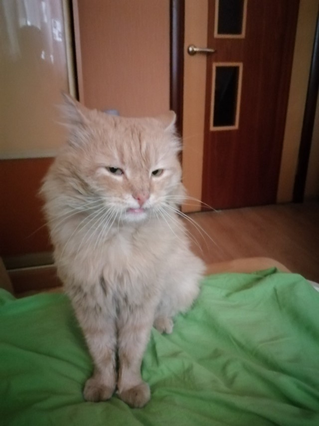 Терпел для вторника