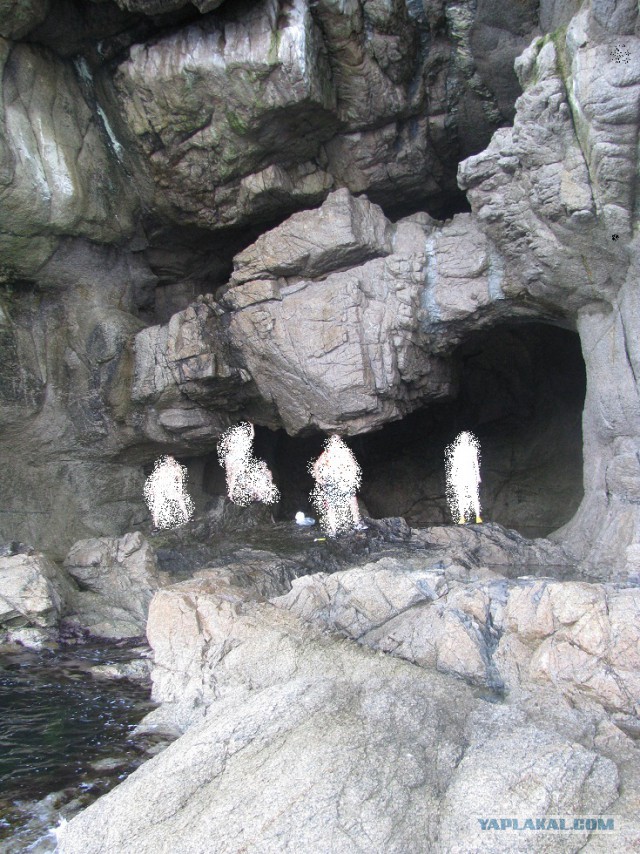 Природа Приморского края