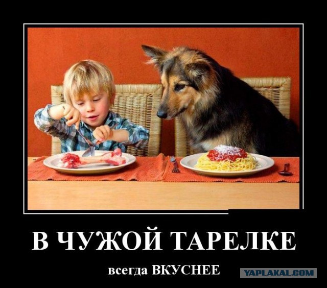 Картинки из сети