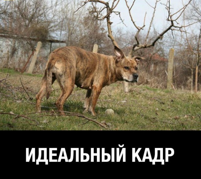 Сборник "баянов" со всего Интернета - 2