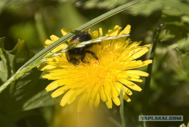 Немного моих фото, авторское