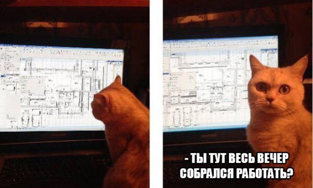 Ужасы и приколы из соцсетей