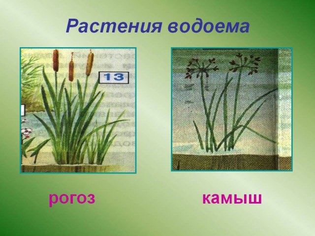 Битва титанов или «курок» vs «спусковой крючок»