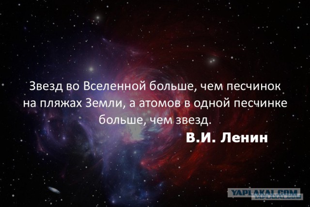 40 интересных фактов в картинках. Продолжение