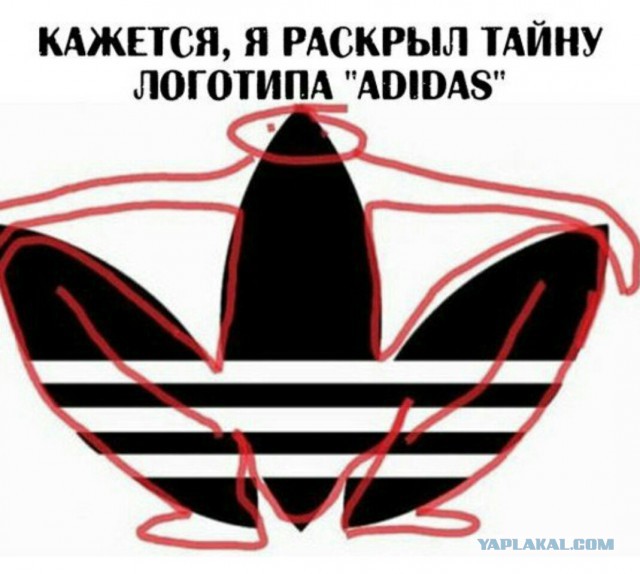 Прикольные картинки 20.06.2017.