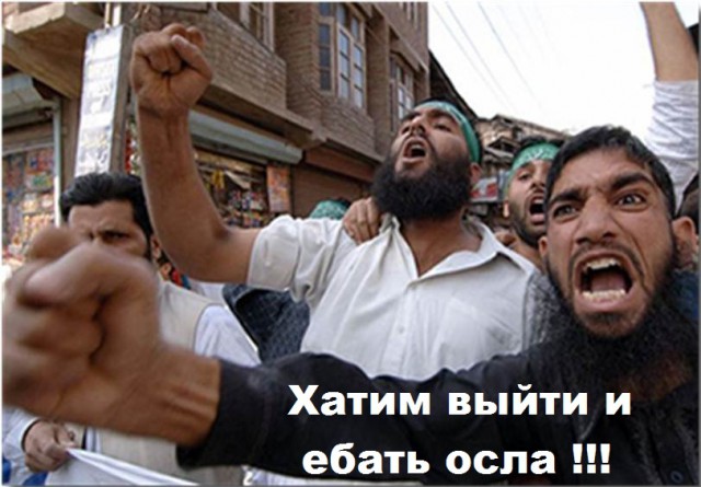 В Краснодаре двое мужчин избили водителя троллейбуса на глазах у пассажиров
