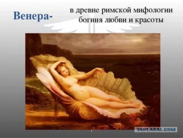 Пышка и Худышка. Ах, какая несправедливость