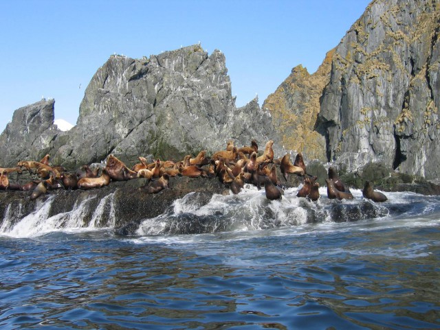 Камчатка. Бухта Русская
