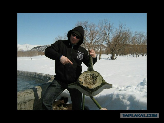 Камчатка. Бухта Русская