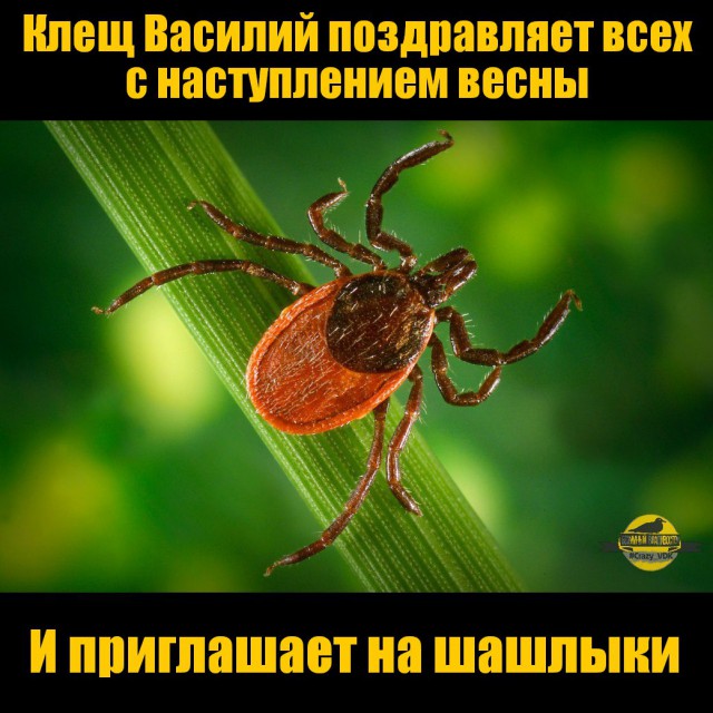 Резкое начало лета или из сапог в босоножки