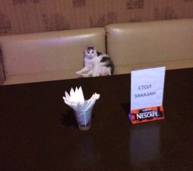 Живность из сети