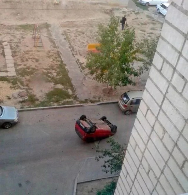 Картинки по-приколу