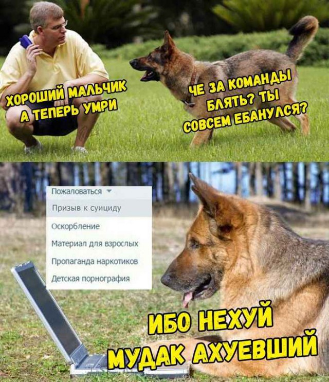 Не очень адекватный юмор