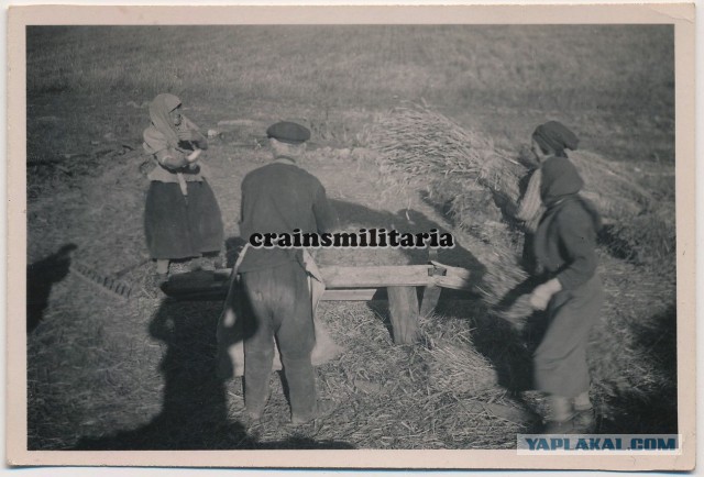 Крестьяне, деревенские  хаты. 1941-1942