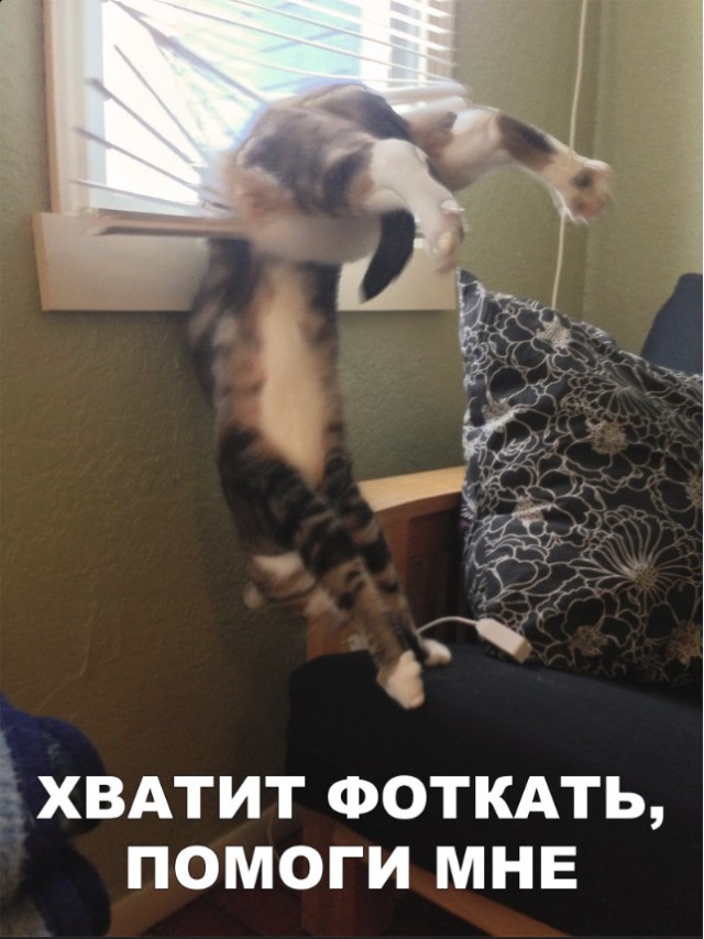 Нестандартный юмор