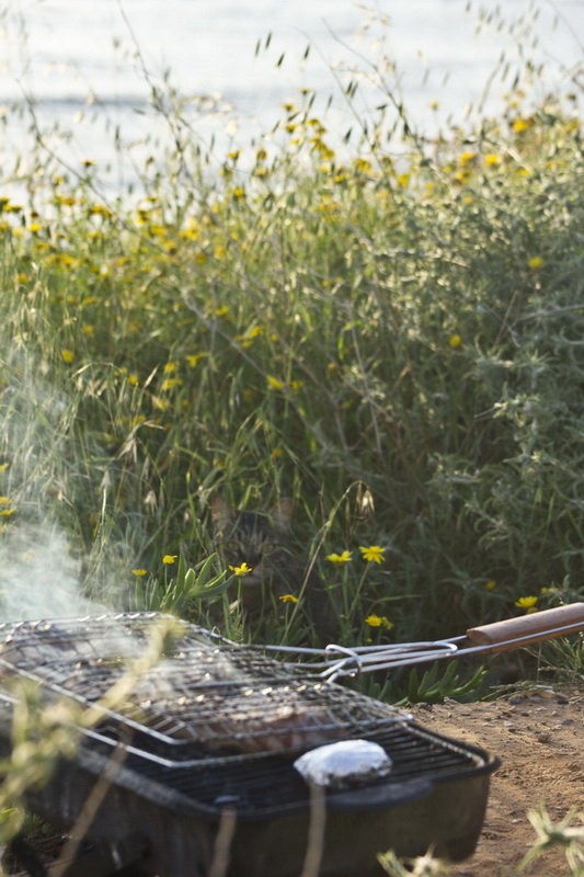Партизан или "стейк под угрозой"