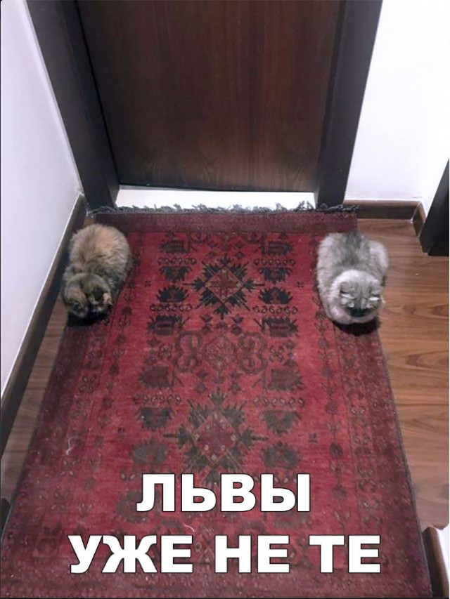 Прикольные картинки абавсём
