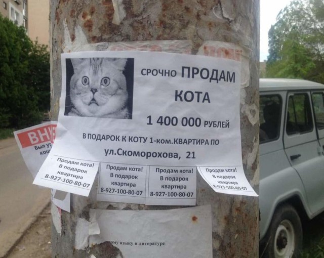 Подборка интересных и веселых картинок 23.05.19