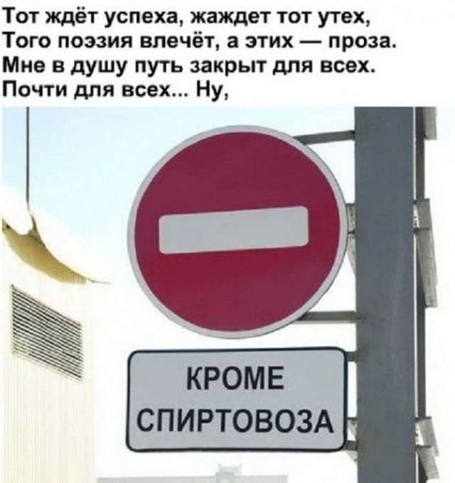 Как соблазнить девушку покачивая перьями на шляпах или рак мозгом заболееет