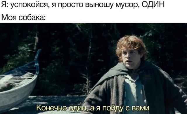 Бредзона и картинки, 2.12.2019