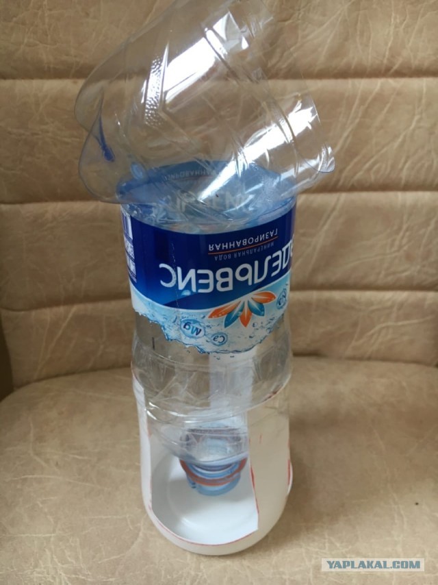 Синицы, или я сподобилась
