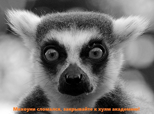 Живность из сети