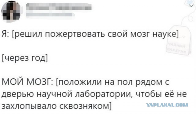 Картинки с надписями фразы и анекдоты