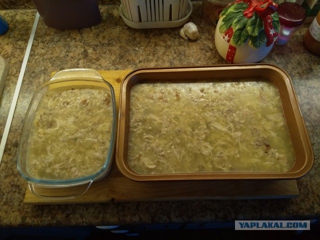 Нищебродам на заметку. Рваные курицы