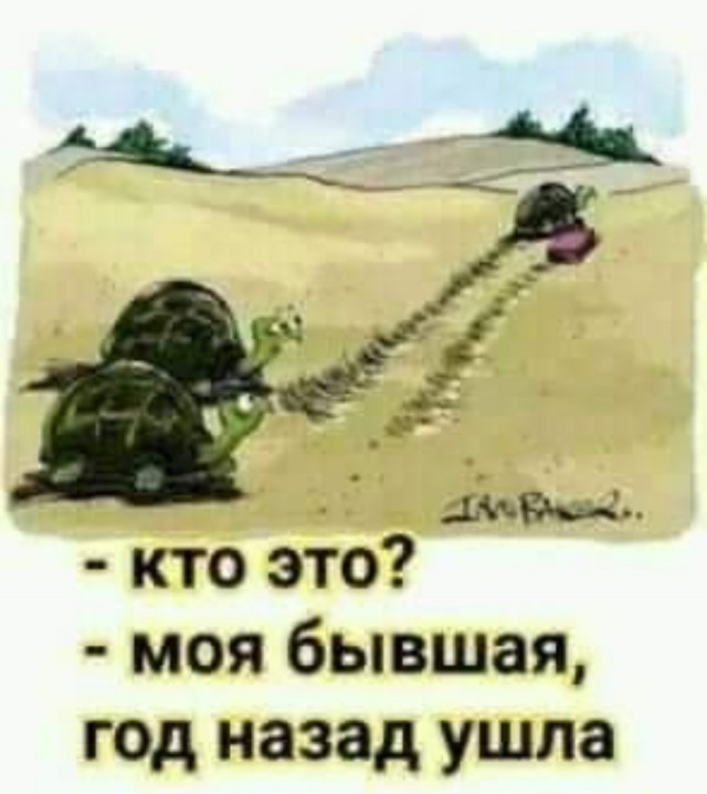 Бредзона 02.03.2021