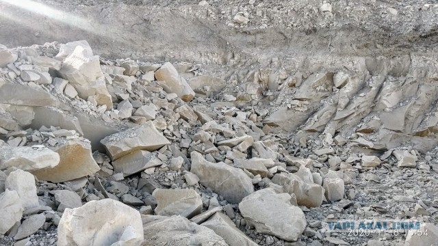 Камчатка, Толбачик