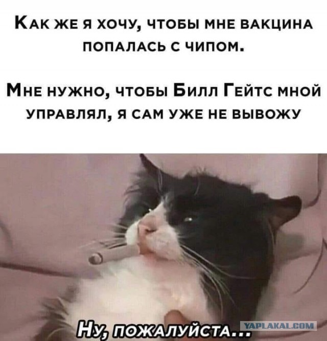 Пандемия. Коронавирус. Россия и мир. Последняя информация. Часть 21