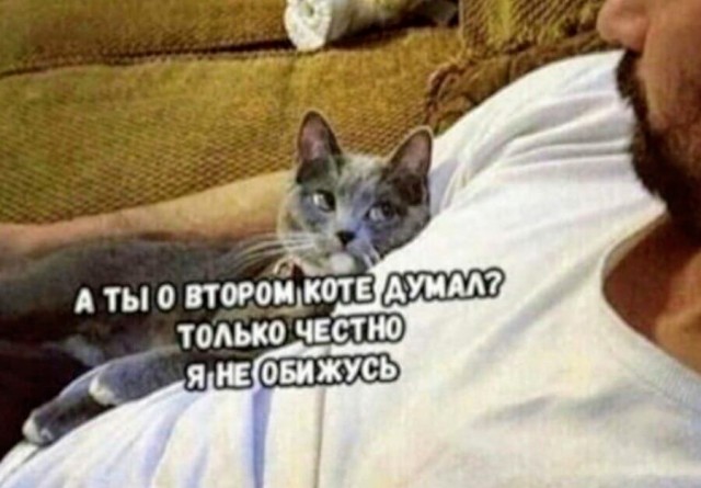 Картинки и мемы для настроения