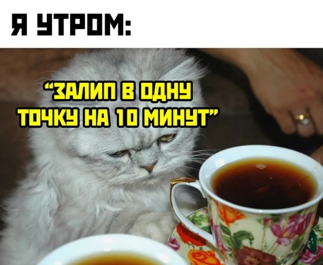 Весёлый полтишок 2.07