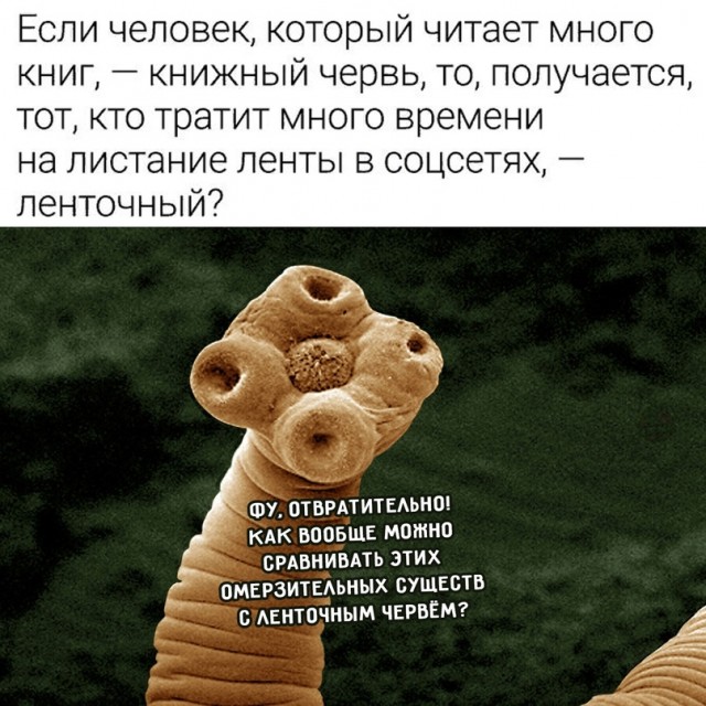 Картинки и мемы для настроения 03.08.2021
