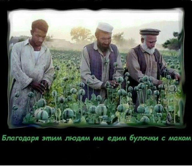 Кретинизмы из сети 03.09.2021