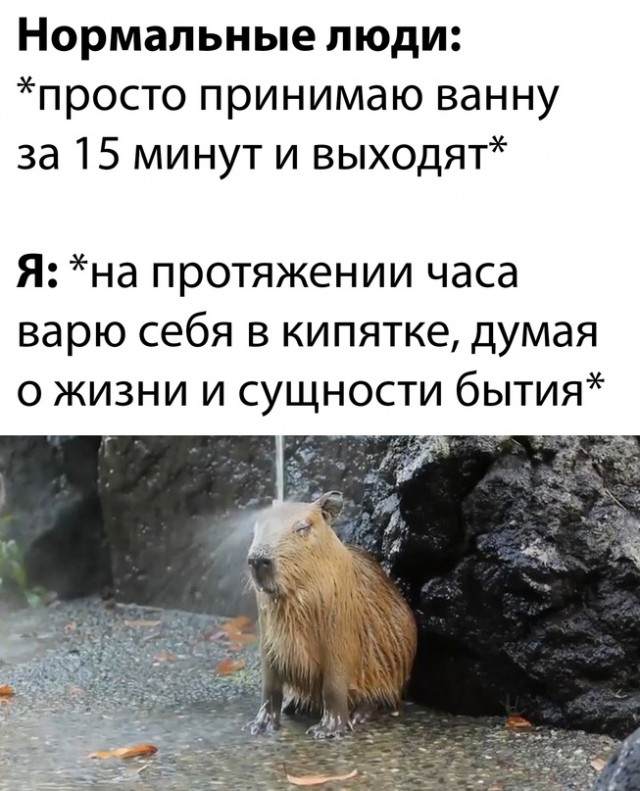 Весёлый полтишок 10.01