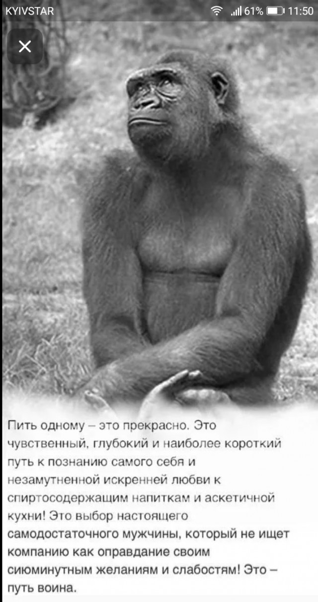 Прикольные и просто красивые картинки 12.01.2022