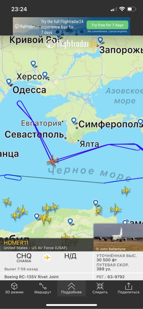 Подскажите что за "зверь" такой летает?