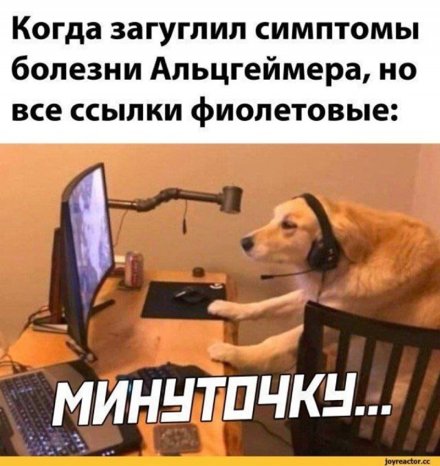 Альцгеймера вызывали?
