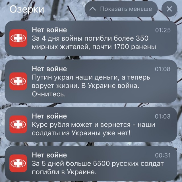 Аптека Озерки